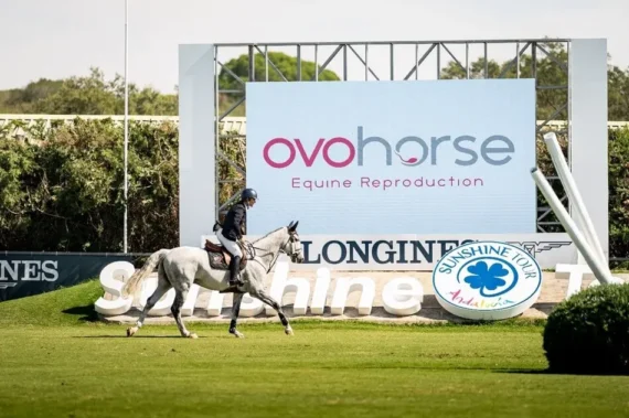 Ovohorse-Vejer