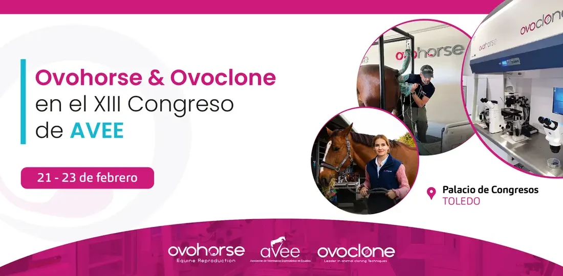 Descubre la innovación en reproducción equina con Ovohorse & Ovoclone en el XIII Congreso AVEE