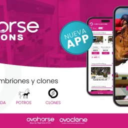 Ovohorse Auctions