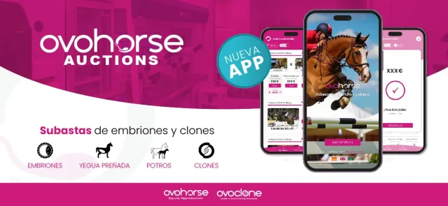 Ovohorse Auctions