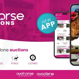 Ovohorse Auctions