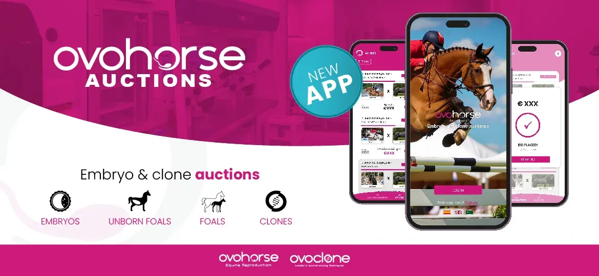 Ovohorse Auctions