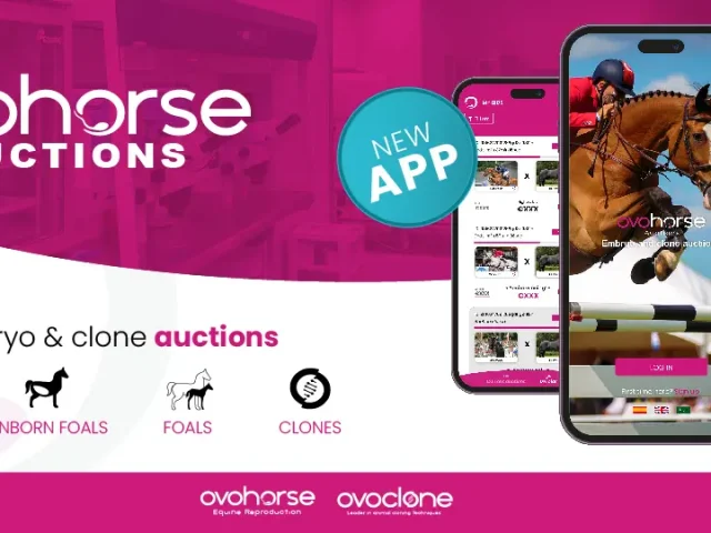 Ovohorse Auctions