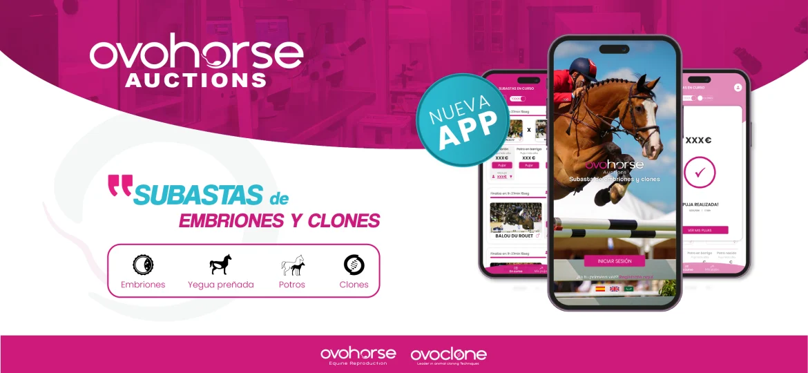 CREATIVIDADES NEW APP OVOHORSE-17