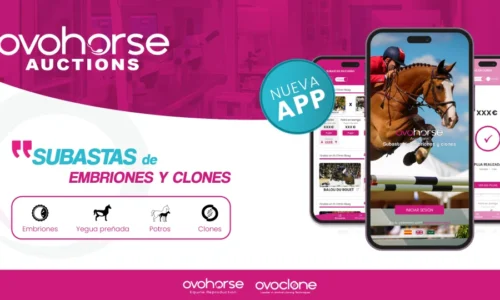 La App de subastas Ovohorse Auctions lanza un embrión de “Chacco Blue”