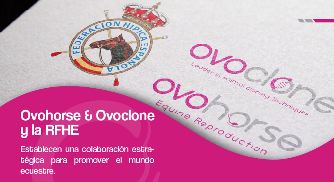 Ovohorse & Ovoclone y la RFHE establecen una colaboración estratégica para promover el mundo ecuestre