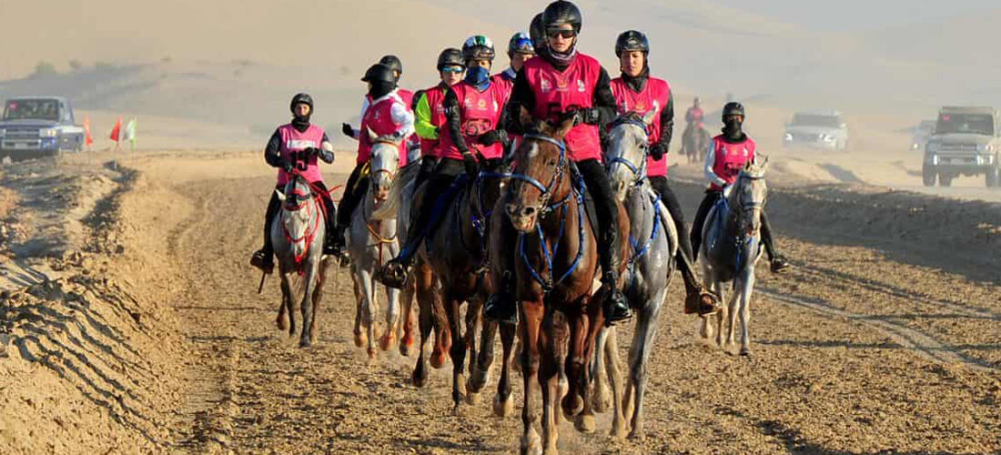 Clonar caballos de Raid de nivel: el futuro de la disciplina