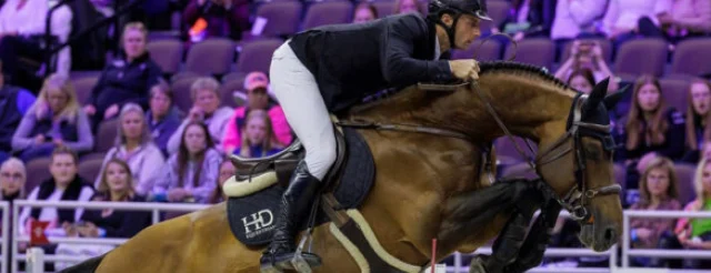 United-Touch-S-caballo-salto-obstáculos