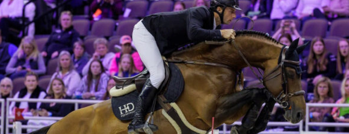 United-Touch-S-caballo-salto-obstáculos