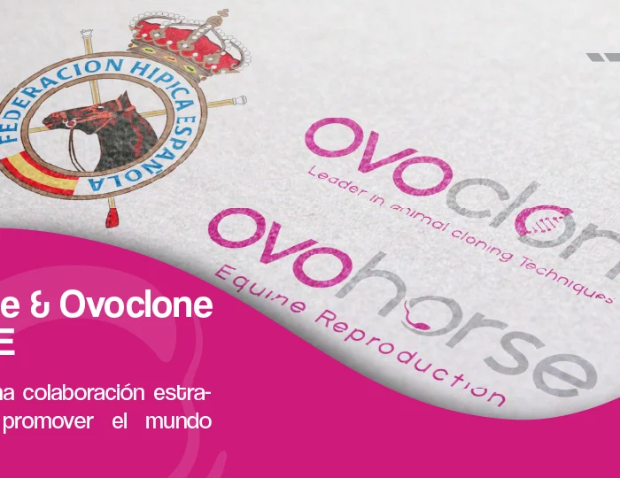 APP_ovohorse-1