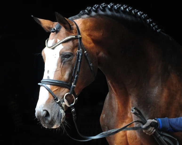 Balou du Rouet