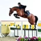 Charino-PS10-150x150 (Demo)