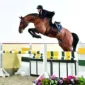 Charino-PS10-150x150 (Demo)