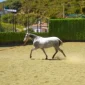Elegida2-200x200 (Demo)