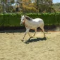 Elegida4-150x150 (Demo)