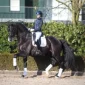 Everdale2-200x200 (Demo)