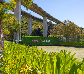 Finca-Ovohorse