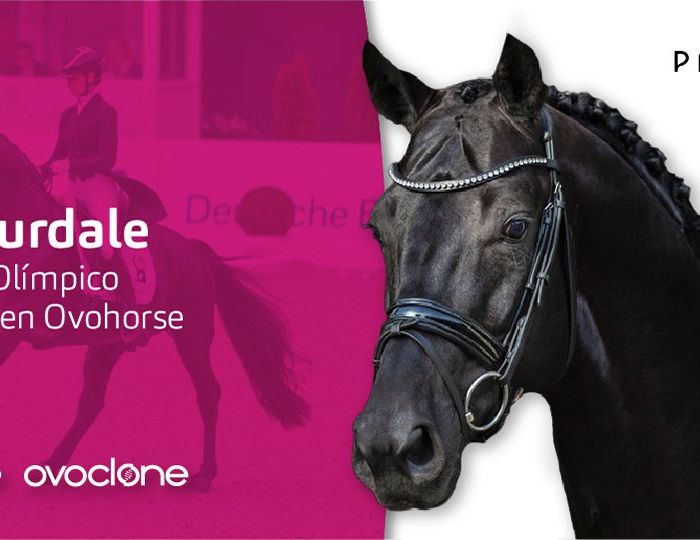 Glamourdale-semental-olimpico-thegem-blog-default