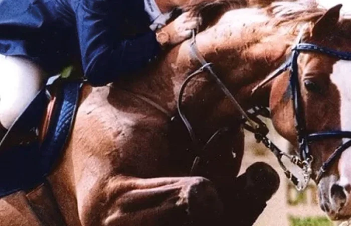 Harmonie-genetica-de-campeona