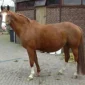 Harmonie3-200x200 (Demo)
