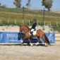 Holandes-XVII-2-150x150 (Demo)