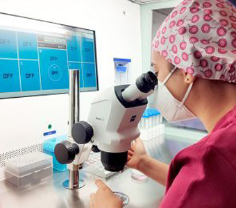 Laboratorio-Ovohorse
