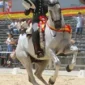 Luar3-150x150 (Demo)