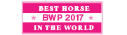 Mejor Caballo_ENG