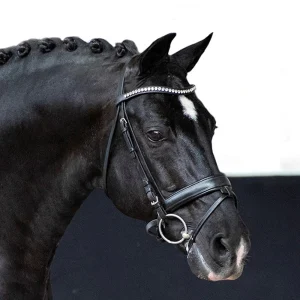 Negro-1