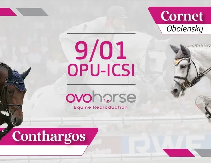 OPU-ICSI-Conthargos-y-Cornet-Obolensky-thegem-blog-default