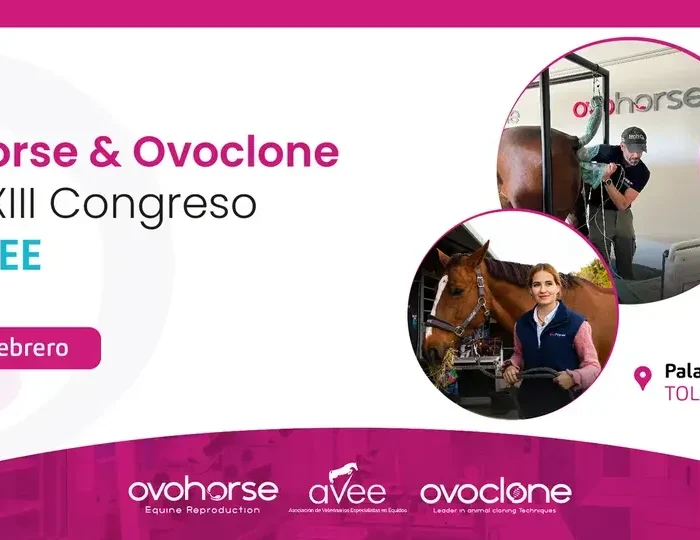 Ovohorse-Ovoclone-AVEE-thegem-blog-default