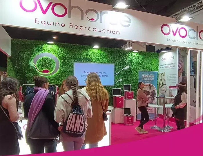 Ovohorse-SICAB-2023-1-thegem-blog-default
