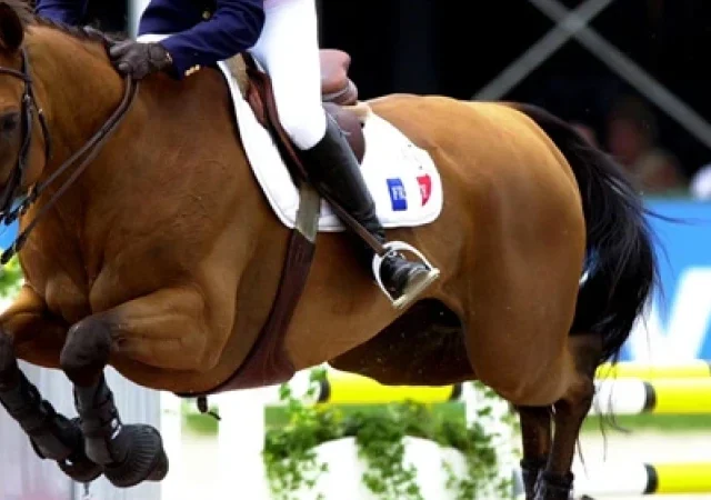 Thor-des-Chaines-leyenda-olimpica