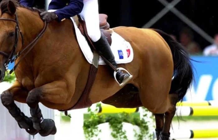 Thor-des-Chaines-leyenda-olimpica