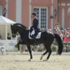 Totilas2-200x200 (Demo) Totilas2-200x200 (Demo)