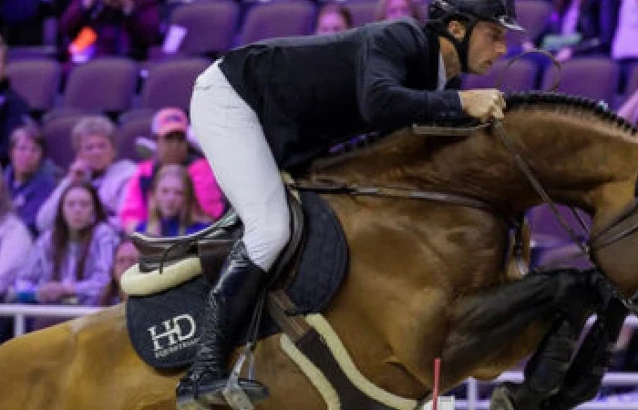 United-Touch-S-caballo-salto-obstaculos (1)