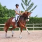 fenya3-200x200 (Demo)