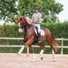fenya4-200x200 (Demo)